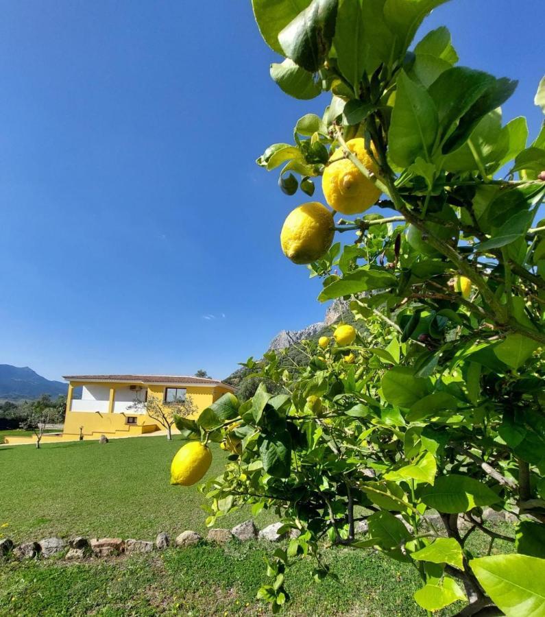Indipendente Con Piscina Uso Esclusivo Internet Illimitato Villa Siniscola Exterior foto
